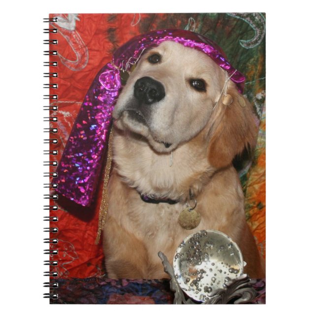 Goldener Wahrsager Notizblock (Vorderseite)