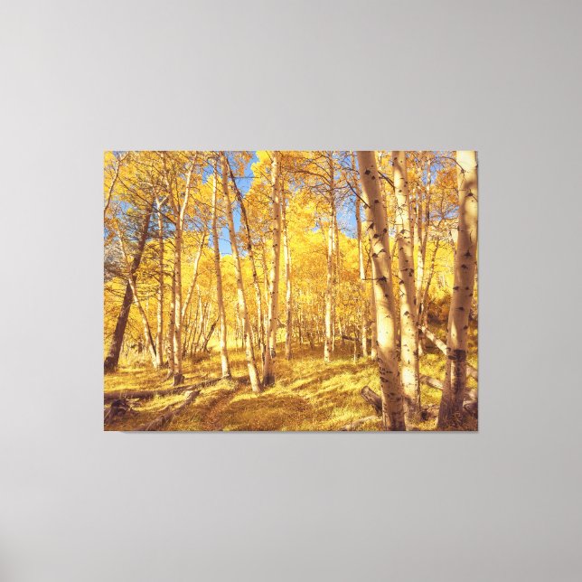 Goldener Wald Leinwanddruck (Vorderseite)