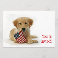 Goldener Welpe und amerikanische Flagge