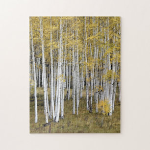 Goldenes Aspen-Baum-Puzzlespiel