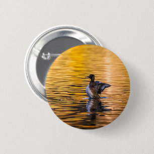 Goldenes Auge auf einem goldenen See Button