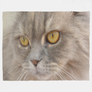 Goldenes Augen-graue persische Katze Fleecedecke