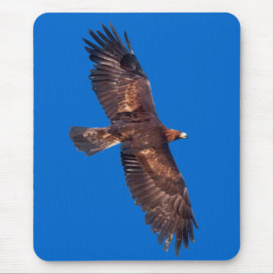 Goldenes Eagle im Flug Mousemat (blau) Mousepad