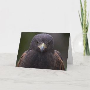 Goldenes Eagle Karte