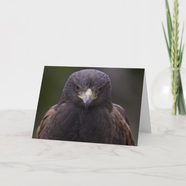 Goldenes Eagle Karte (Vorderseite)