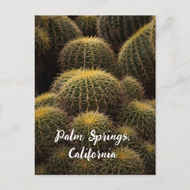 Goldenes Fass in Palmfedern Postkarte (Vorderseite)