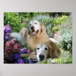 Goldenes Freund-Plakat Poster