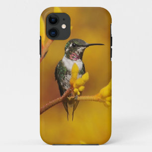 Goldenes Glühen Case-Mate iPhone Hülle