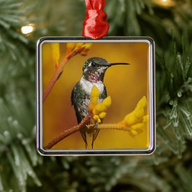 Goldenes Glühen Silbernes Ornament (Baum)