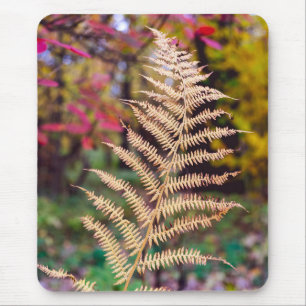 Goldenes Herbstfarnblatt-Exemplar Mousepad