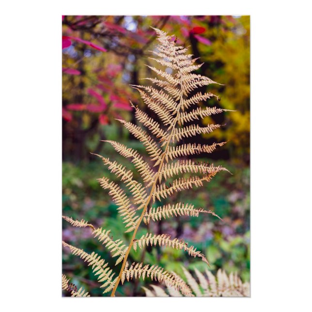Goldenes Herbstfarnblatt-Muster Poster (Vorderseite)