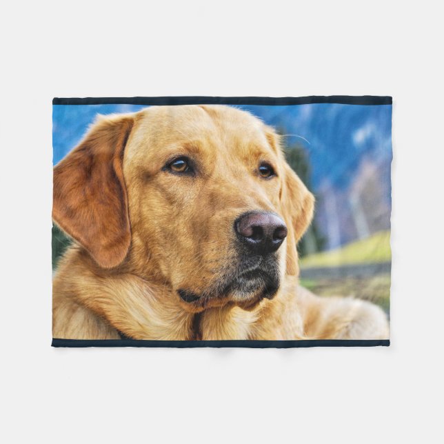 Goldenes Labrador retriever Fleecedecke (Vorderseite (Horizontal))