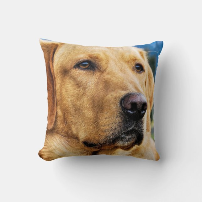 Goldenes Labrador retriever Kissen (Vorderseite)