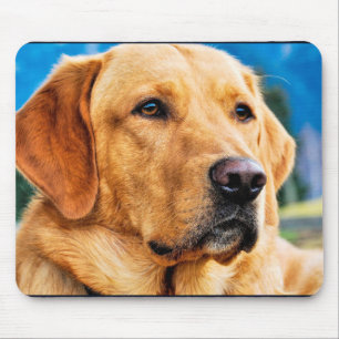 Goldenes Labrador retriever Mousepad
