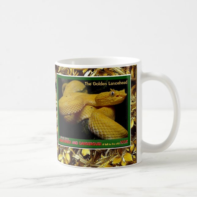 Goldenes Lancehead ist eine gefährdete Schlange - Kaffeetasse (Rechts)