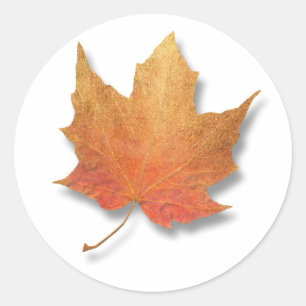 Goldenes Leaf Runder Aufkleber