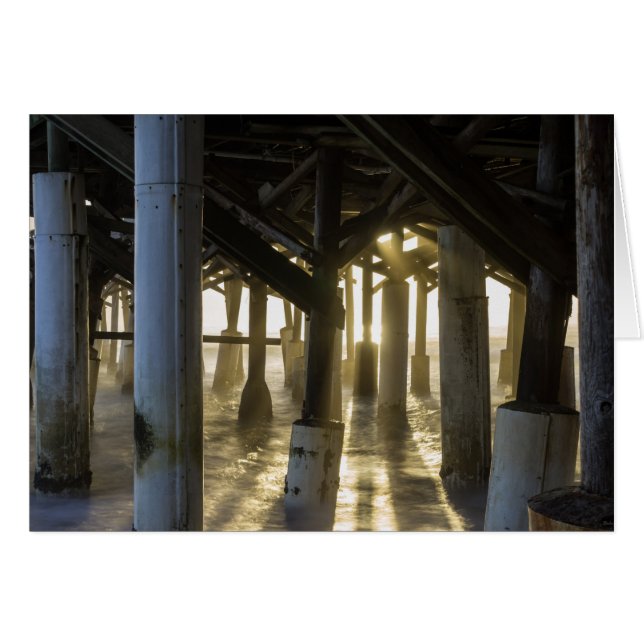 Goldenes Licht durch (Vorderseite (Horizontal))