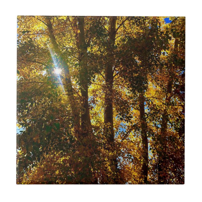 Goldenes Licht Fliese (Vorderseite)