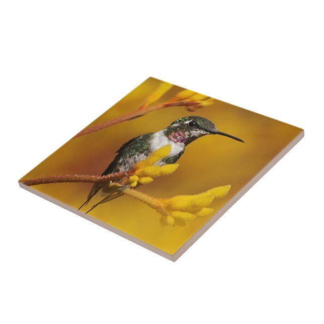 Goldenes Licht Fliese (Seite)