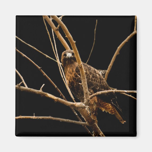 Goldenes Magnet (Vorne)