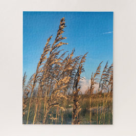 Goldenes Meer Oats Beach Anastasia Staat Park