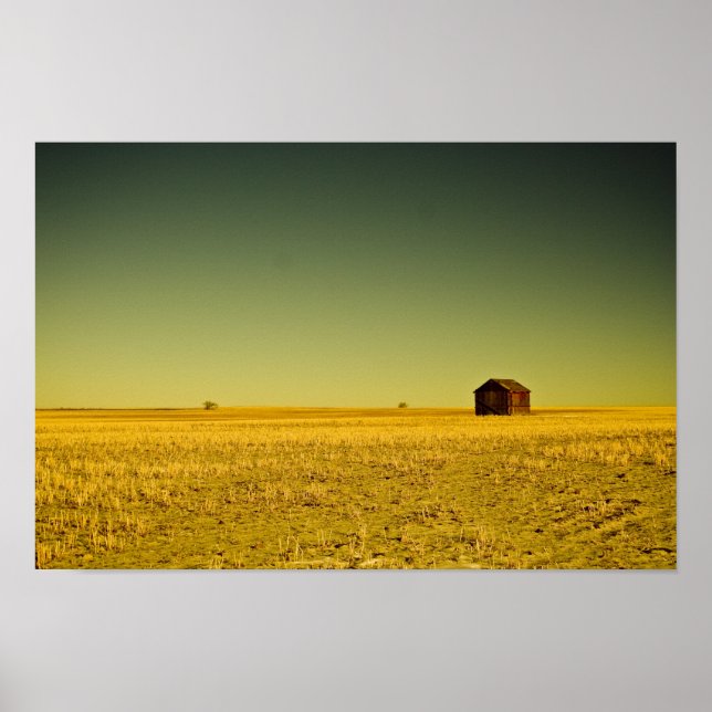 goldenes Nichts Poster (Vorne)