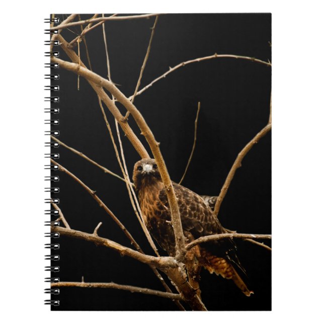 Goldenes Notebook Notizblock (Vorderseite)