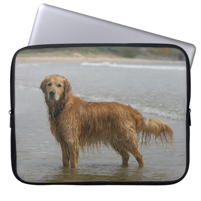 Goldenes Retreiver im Meer Laptopschutzhülle (Vorderseite)