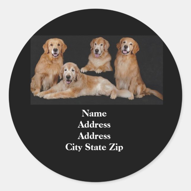 goldenes Retriever-Adressetikett Runder Aufkleber (Vorderseite)