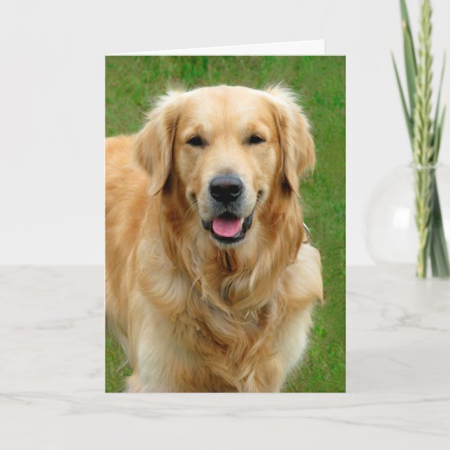 Goldenes Retriever-Beileid Karte (Vorderseite)