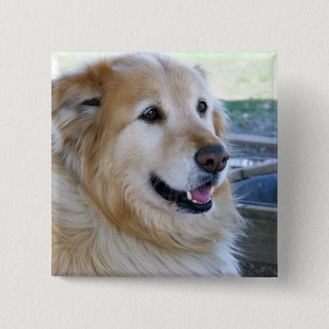 Goldenes Retriever-Foto Button (Vorderseite)