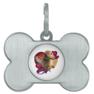 Goldenes Retriever Herz des Goldes Tiermarke