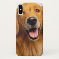 Goldenes Retriever-Lächeln