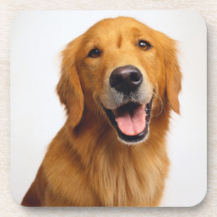 Goldenes Retriever-Lächeln Getränkeuntersetzer