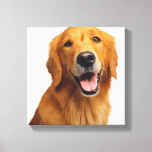 Goldenes Retriever-Lächeln Leinwanddruck