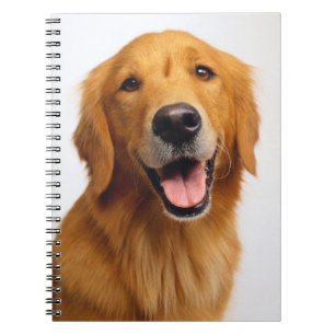 Goldenes Retriever-Lächeln Notizblock