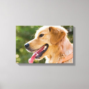Goldenes Retriever-Profil mit Zunge-Out Leinwanddruck