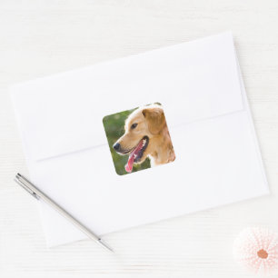 Goldenes Retriever-Profil mit Zunge-Out Quadratischer Aufkleber