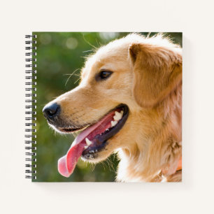 Goldenes Retriever-Profil mit Zungenausschnitt Notizbuch