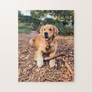 Goldenes Retriever-Puzzle