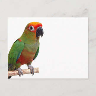 Goldenes Schloss Postkarte