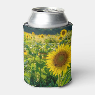 Goldenes Sonnenblumenfeld Dosenkühler