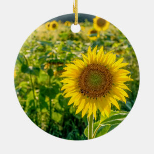 Goldenes Sonnenblumenfeld Keramik Ornament