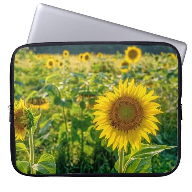 Goldenes Sonnenblumenfeld Laptopschutzhülle (Vorderseite)