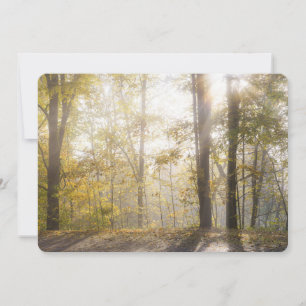 Goldenes Sonnenlicht durch Herbstbäume Feiertagskarte