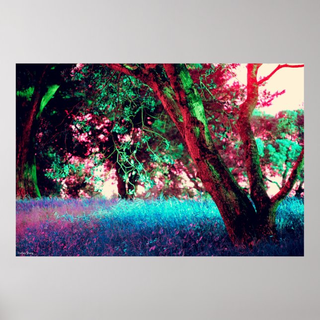 Goldenes Stundenplakat - Groß (34" x 22") Poster (Vorne)