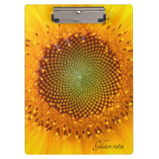 Goldenes Verhältnis, Sonnenblumenübersicht Klemmbrett