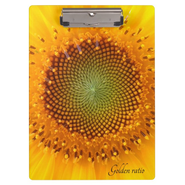 Goldenes Verhältnis, Sonnenblumenübersicht Klemmbrett (Vorderseite)