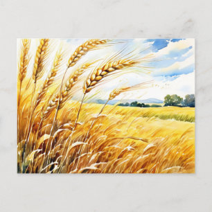 Goldenes Weizenfeld im Sommer schwingen Postkarte