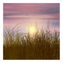 Goldenes Weizenfeld Sonnenuntergang Ölgemälde Somm